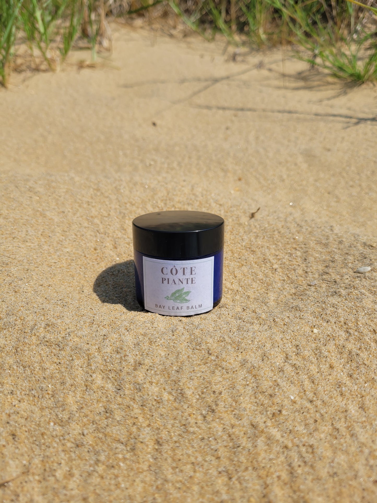 Piante | Bay Leaf Infused Olive Oil Balm