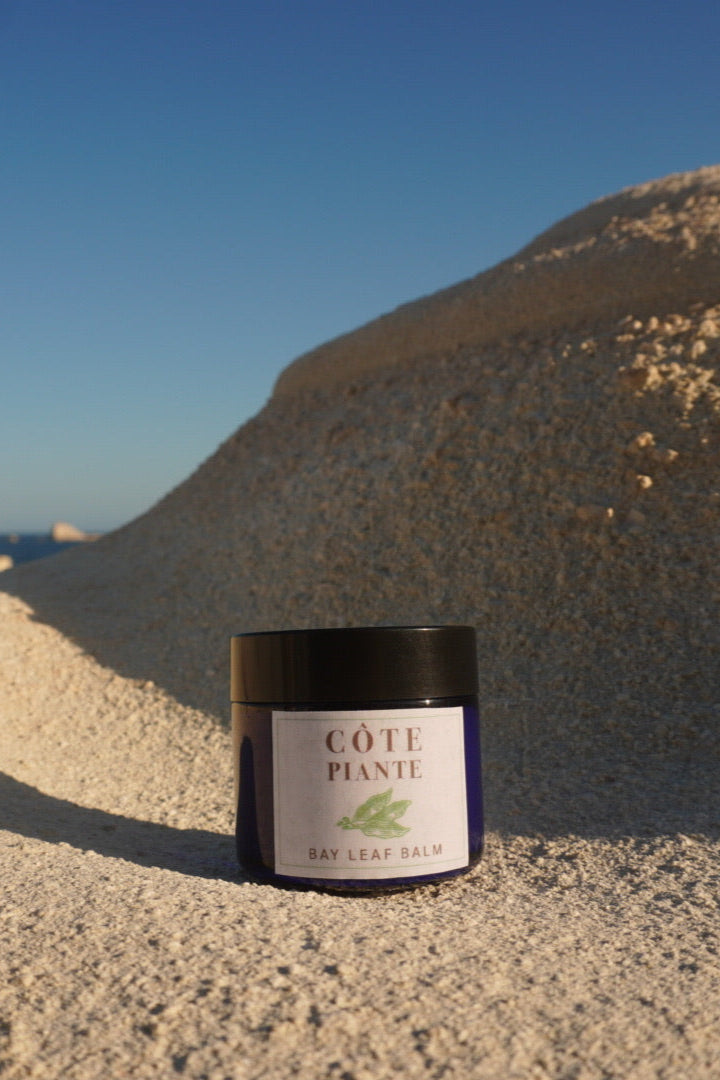 Piante | Bay Leaf Infused Olive Oil Tallow Balm